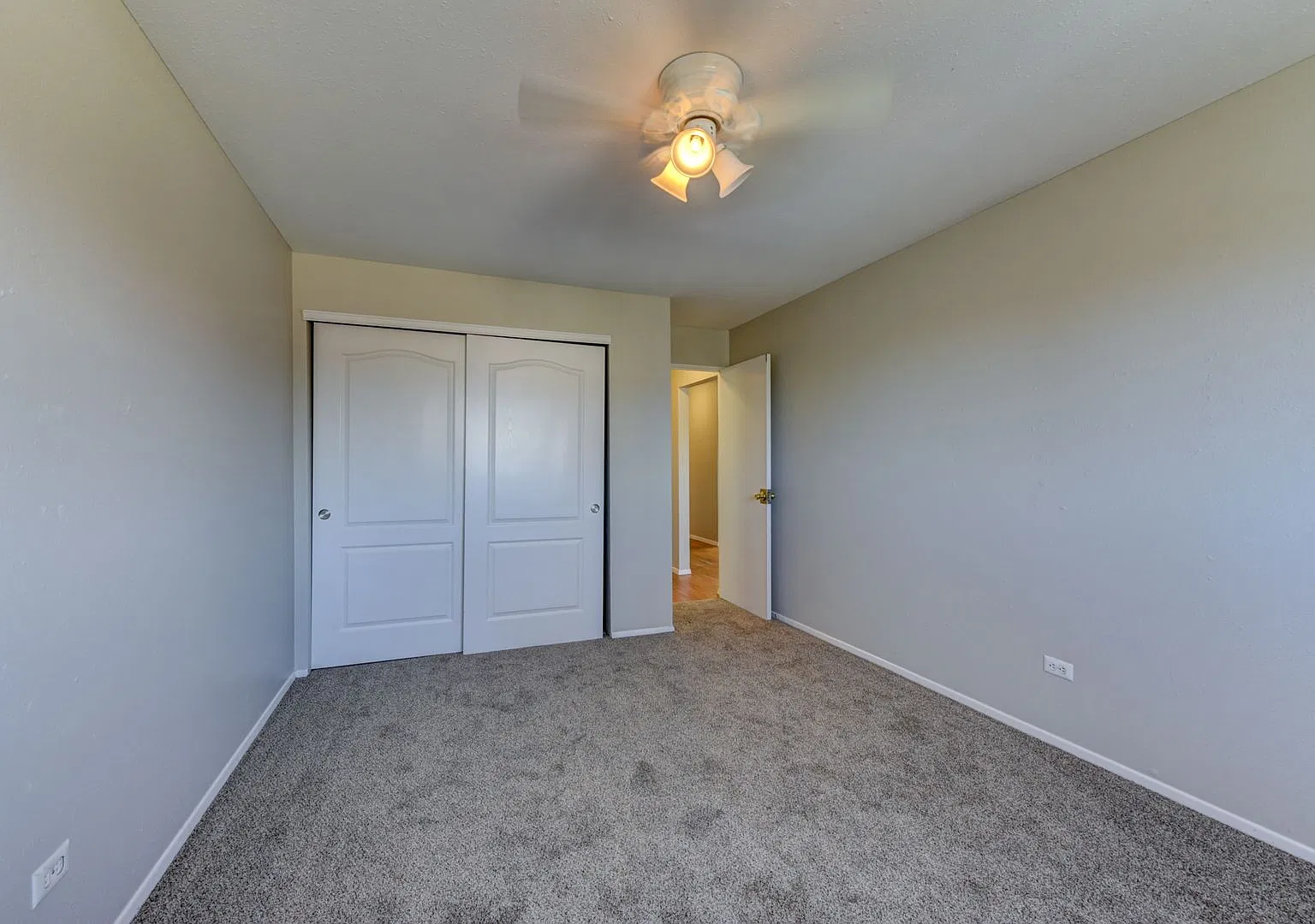 Fitz Apartments — Photo 2