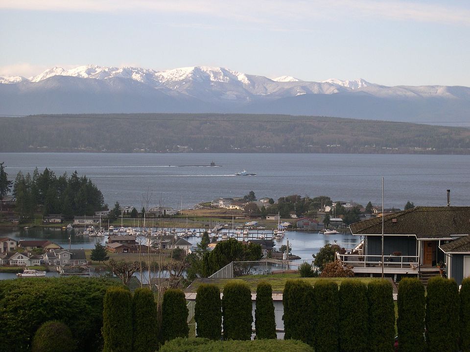 From the deck