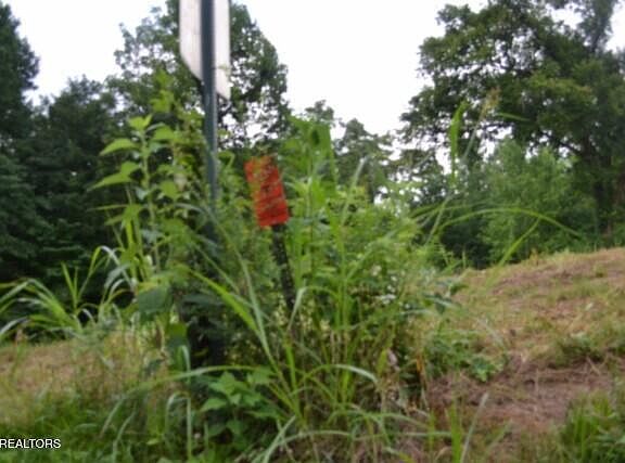 5th image of 2390 Pea Ridge Fire Tower Rd