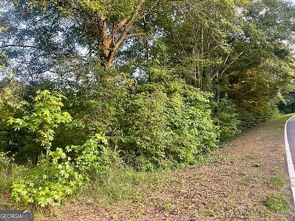 4th image of 0 McCrary Rd Tract 3
