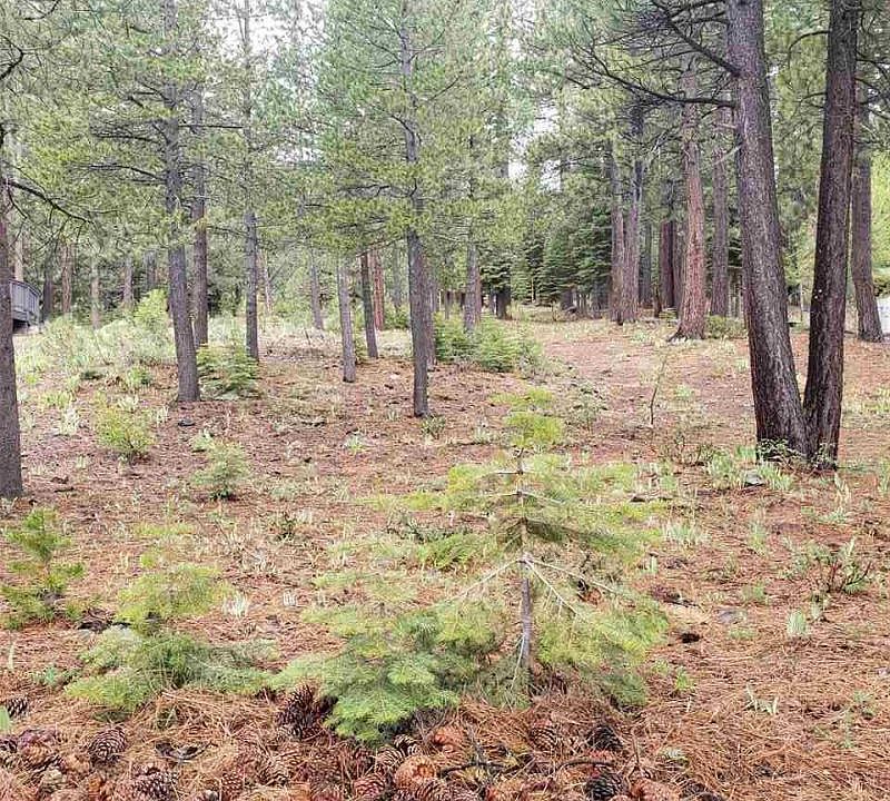 2nd image of 14518 Alder Creek Rd