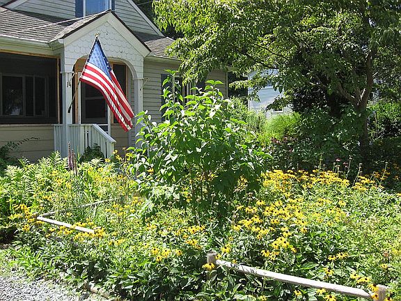 Front walk in full bloom 