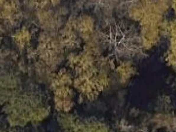 0 SETTLEMENT Road, Martinez, GA 30907