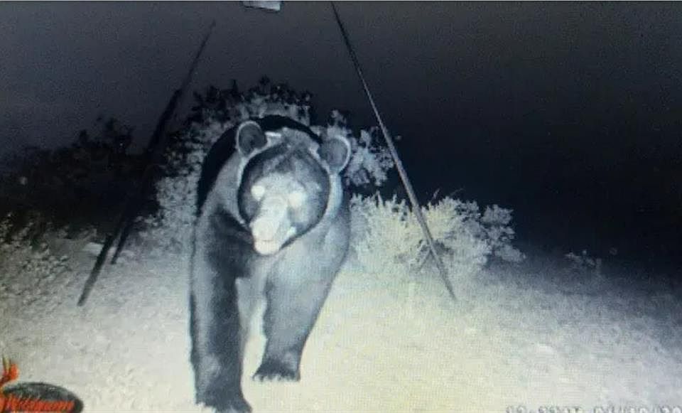 19 Rr 2083 DEL, Comstock, TX 78837 MLS 4034149 Zillow