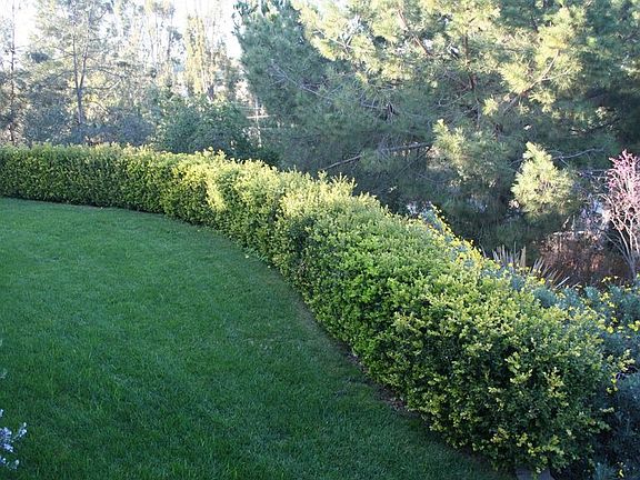 2nd image of 1163 Lita Ln