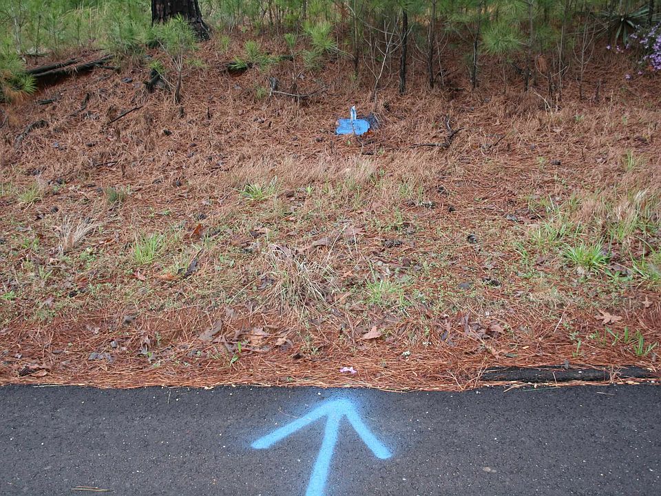 2nd image of 280 Watson Rd