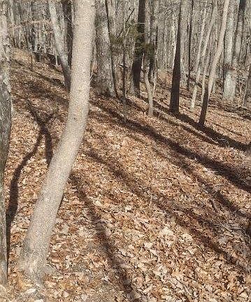 5th image of 1 Ridge Cliff Dr Lot 49