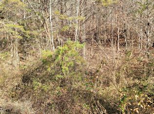 Wild Briar Trl, Sevierville, TN 37876