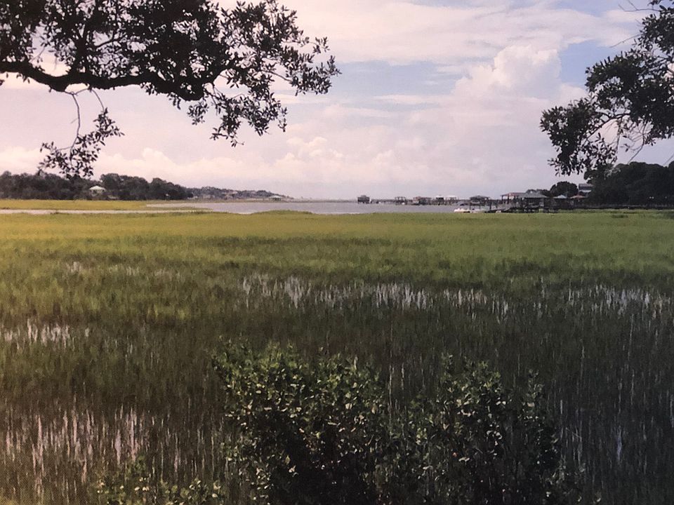 Soft Breezes and Serene View