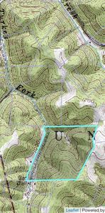 0 Turkey Frk, Clendenin, WV, 25045