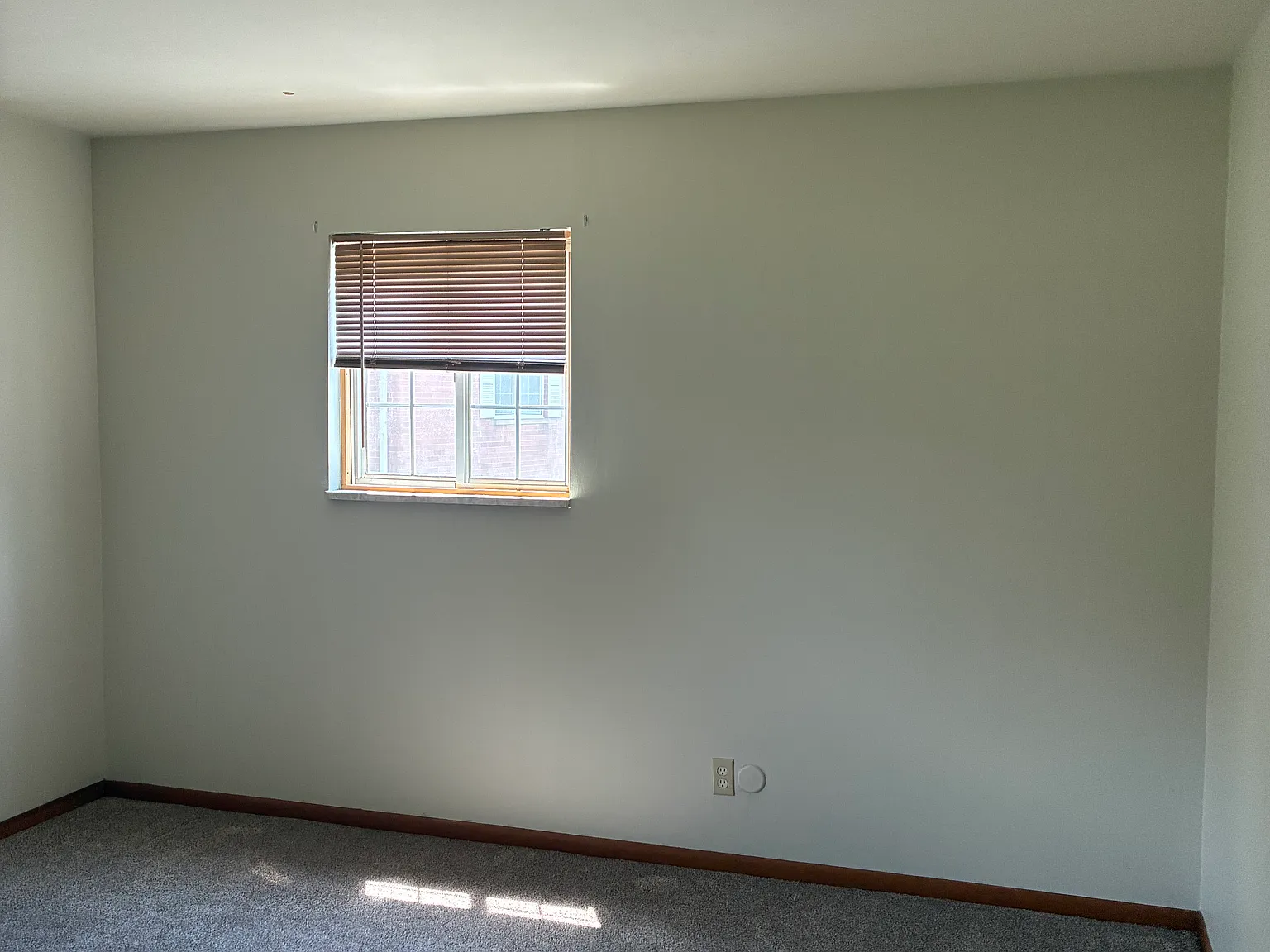 2 bed, $1,150 — Photo 4
