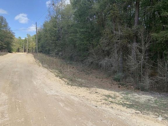 4th image of 163 Tim Boland Rd