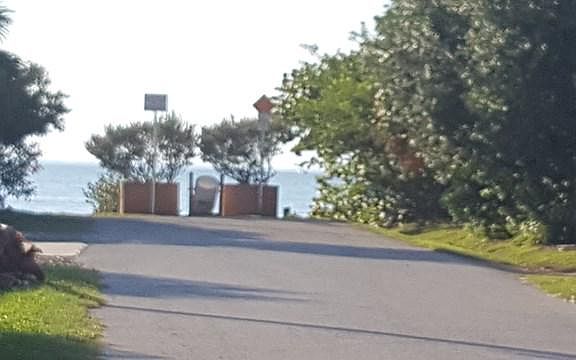 5th image of 225 W Oleander St