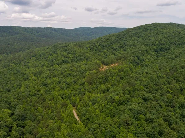Polk Rd #720, Mena, AR 71953