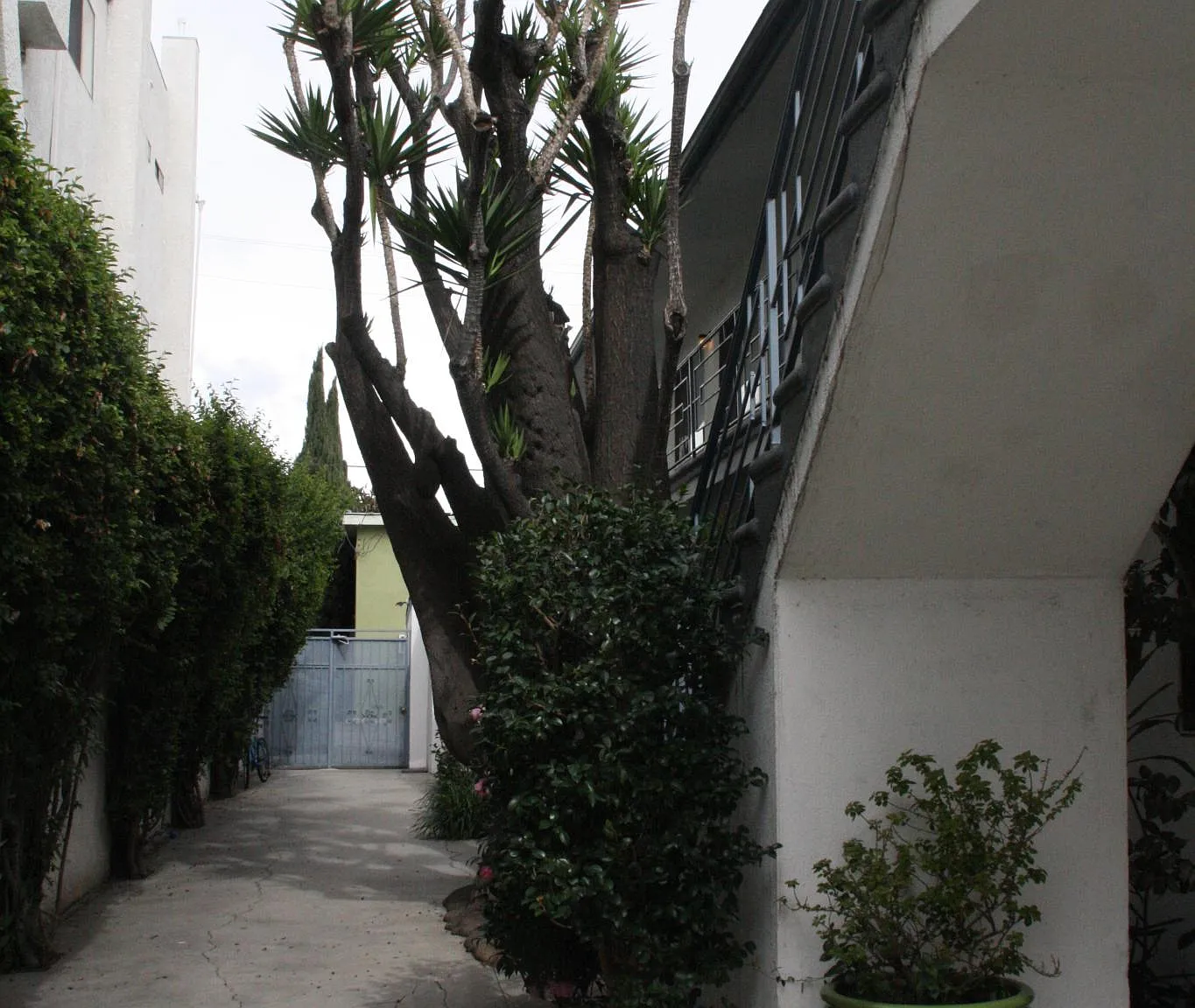 1 bed, 750 sqft, $2,395 — Photo 2
