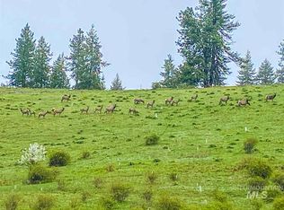 Tbd Pheasant Dr, Orofino, ID 83544