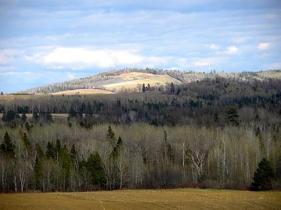 3rd image of 558 Center Limestone Road