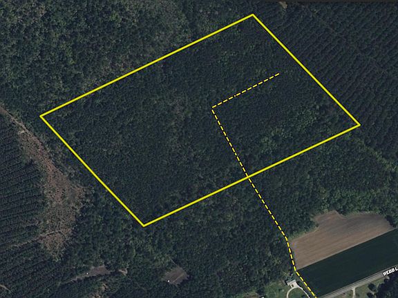 3rd image of 0 Webb Lake Rd Lot Wp000