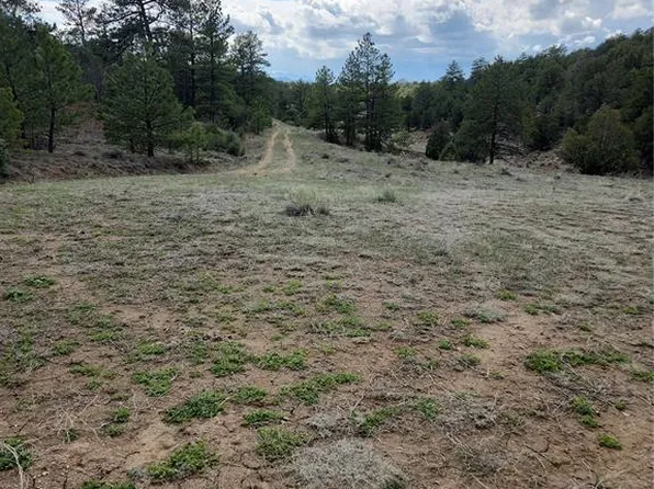 1212 40th Trl, Cotopaxi, CO 81223