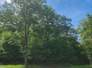 53 Mountainview Dr, Oakland, MD 21550