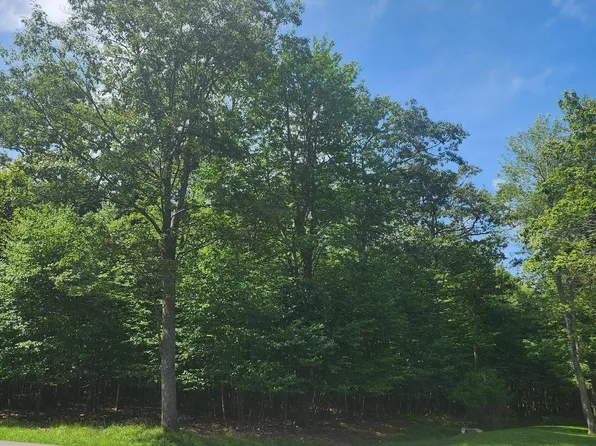 53 Mountainview Dr, Oakland, MD 21550