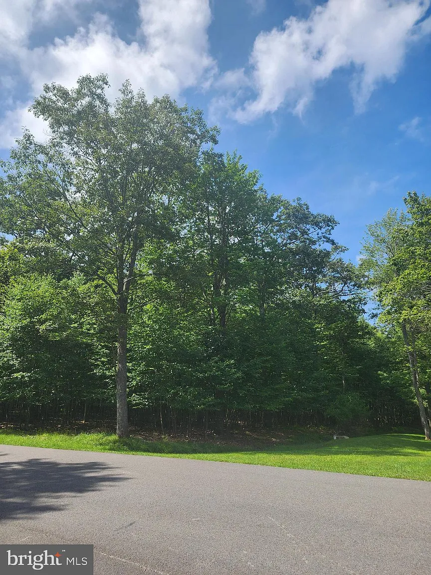 53 Mountainview Dr photo 1