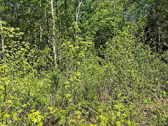 3rd image of 124 Clouds Creek Cir