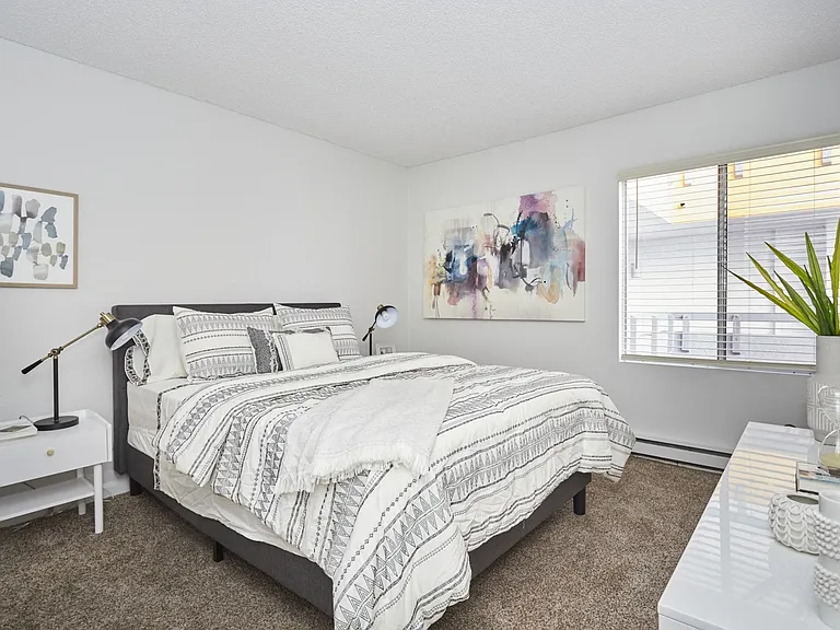 Brightly-Lit Bedroom with Queen Bed