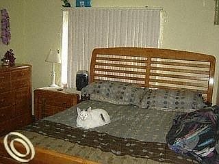 2nd image of 1379 Lejeune Ave