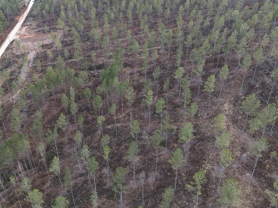 2nd image of 5 County Road 175