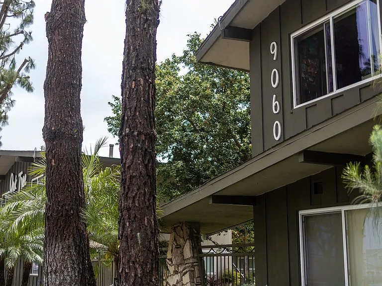 Oak Tree — Photo 14