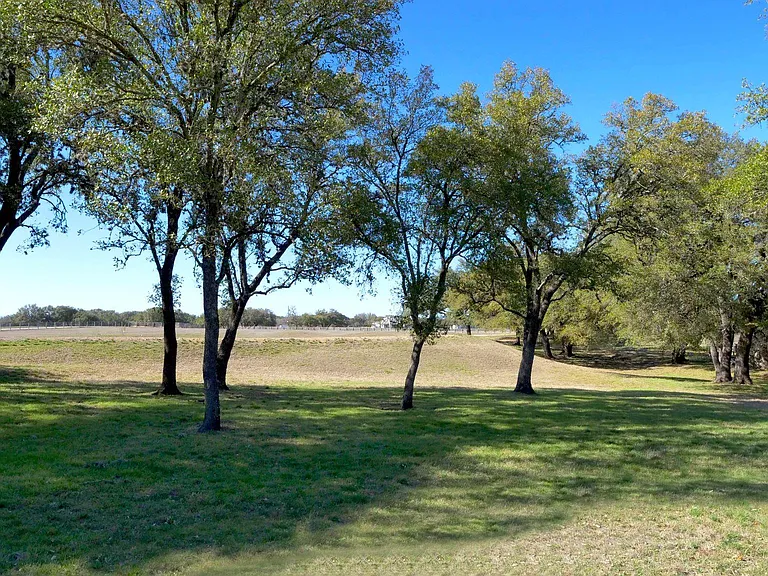 1115 County Road 414 — Photo 5