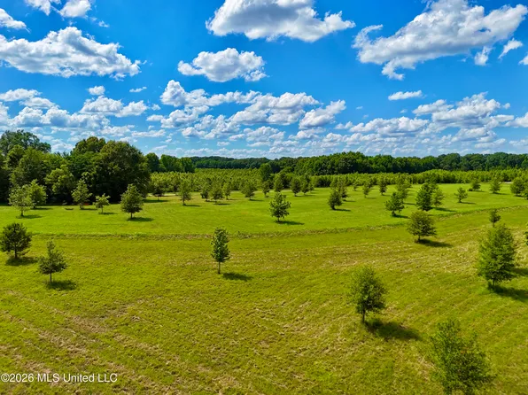 14 Windermere Blvd, Madison, MS 39110