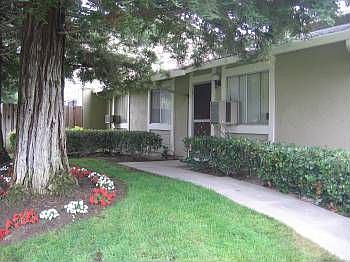 1st image of 2194 Bikini Ave