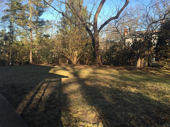 3rd image of 425 Shadybrook Dr