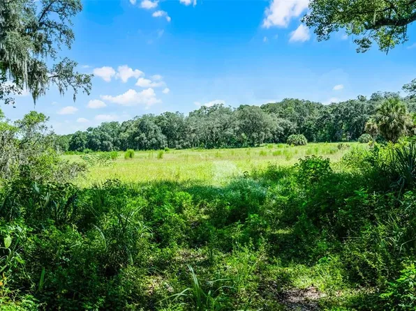 7466 Vivian Ln Lot 15, Orlando, FL 32818