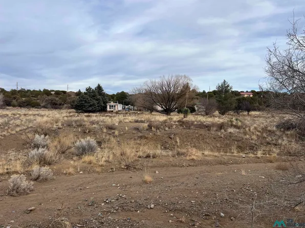 8 Elder Ln, Silver City, NM 88061