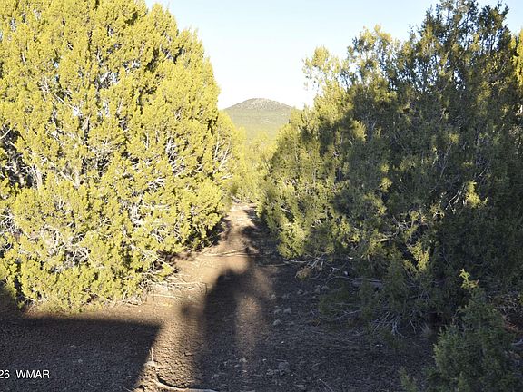 5th image of 26C Ranch Rd