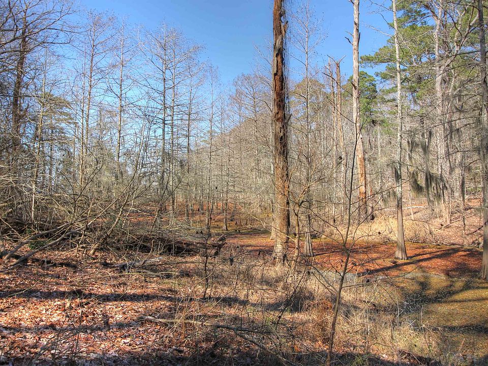 260 Elm Dr, Etoile, TX 75944 Zillow