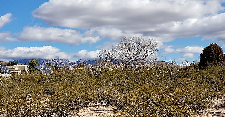 1st image of 4165 Sotol Dr