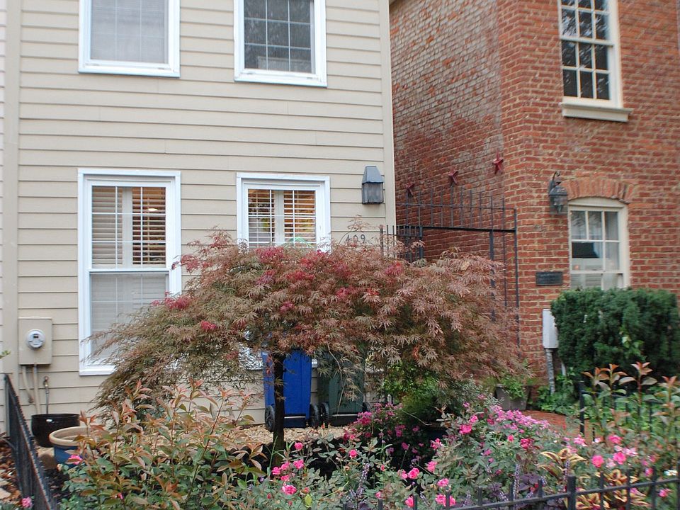 View from 1st Street