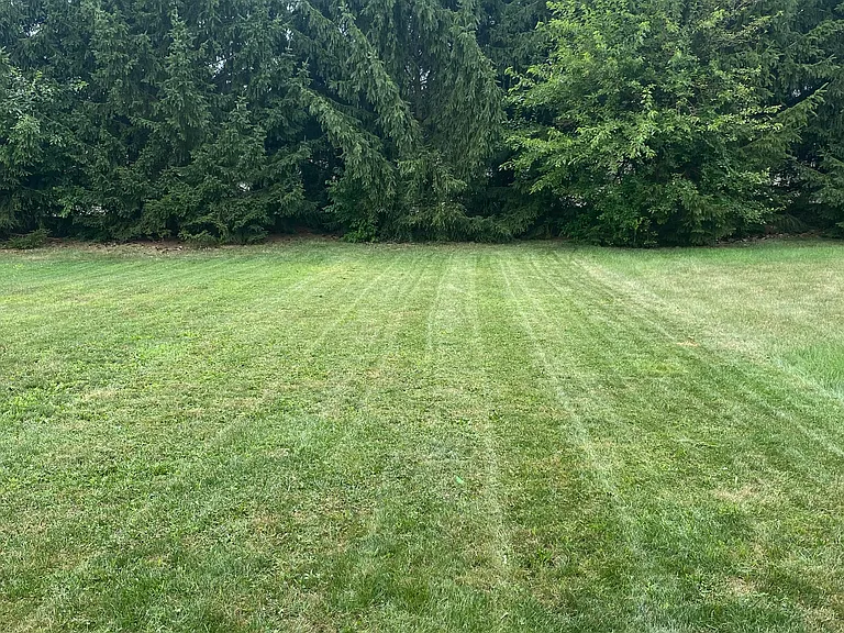 Nice private back yard