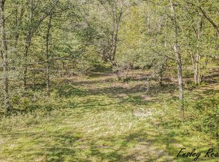 10061 S Pine Ave, Newaygo, MI 49337