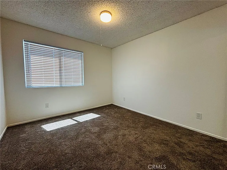 11919 Rudbeckia Cir — Photo 13