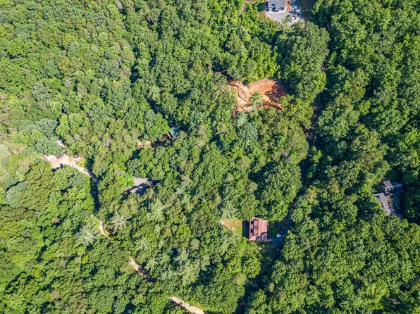 Oak Loop, Mineral Bluff, GA 30559