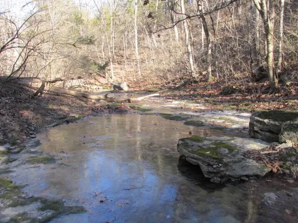 Minor Hill Rd, Ashland, MO 65010