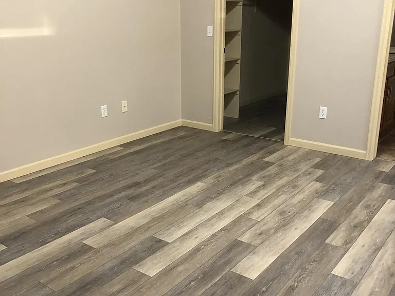 Primary bedroom with walk in closet.