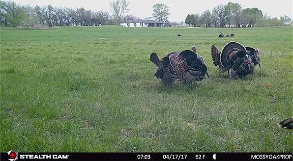 1st image of 2169 Road 17