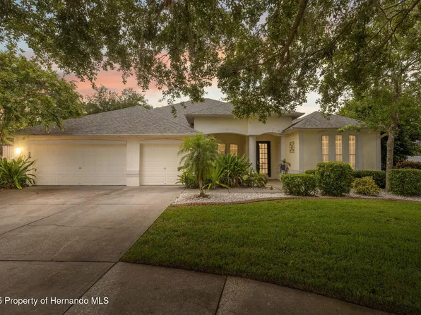 3109 Ashmonte Dr, Land O Lakes, FL 34638