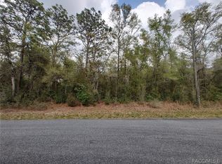 10653 N Malva Way, Citrus Springs, FL 34434